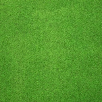 Grastapijt 200x400 Cm 5 Grastapijt 200x400 Cm - Afbeelding 3