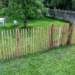 Tuinpoort Theems 100x100cm -Tuin Decor Verkoop 123 1885