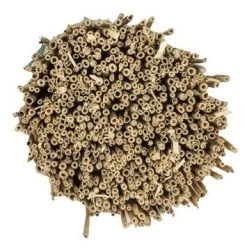 Rietmat Ca. 180x600 Cm 7 Rietmat Ca. 180x600 Cm -Tuin Decor Verkoop 123 2438