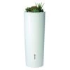 Garantia Regenton Met Plantenbak Wit 350 Liter 1 Garantia Regenton Met Plantenbak Wit 350 Liter -Tuin Decor Verkoop 123 305