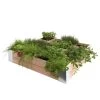 Moestuinbak Douglas 100x100cm 2 Moestuinbak Douglas 100x100cm -Tuin Decor Verkoop 123 554