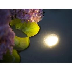 Ubbink Aqualight 60 LED -Tuin Decor Verkoop 123 579