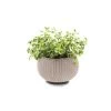 Bloembak Cozy S Zand Ø28 Cm Keter -Tuin Decor Verkoop 123 725