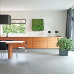 Muurhanger Verticaal Tuinieren -Tuin Decor Verkoop 123 877