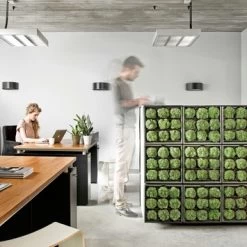 Muurhanger Verticaal Tuinieren -Tuin Decor Verkoop 123 878